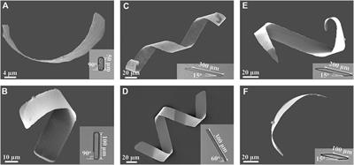 A rolled-up-based fabrication method of 3D helical microrobots